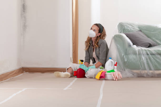 Reliable Commercial Mold Remediation contractor in Chandler, AZ by WQB Mold Removal